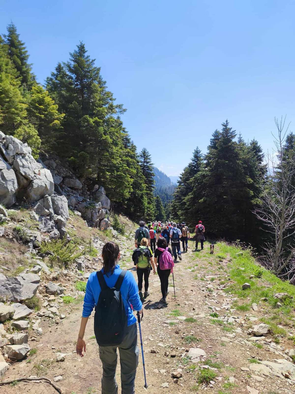 Ανάβαση στην Σπηλιά Μπέη πραγματοποίησε η Ο.Λ.Κ. — φωτογραφία 5
