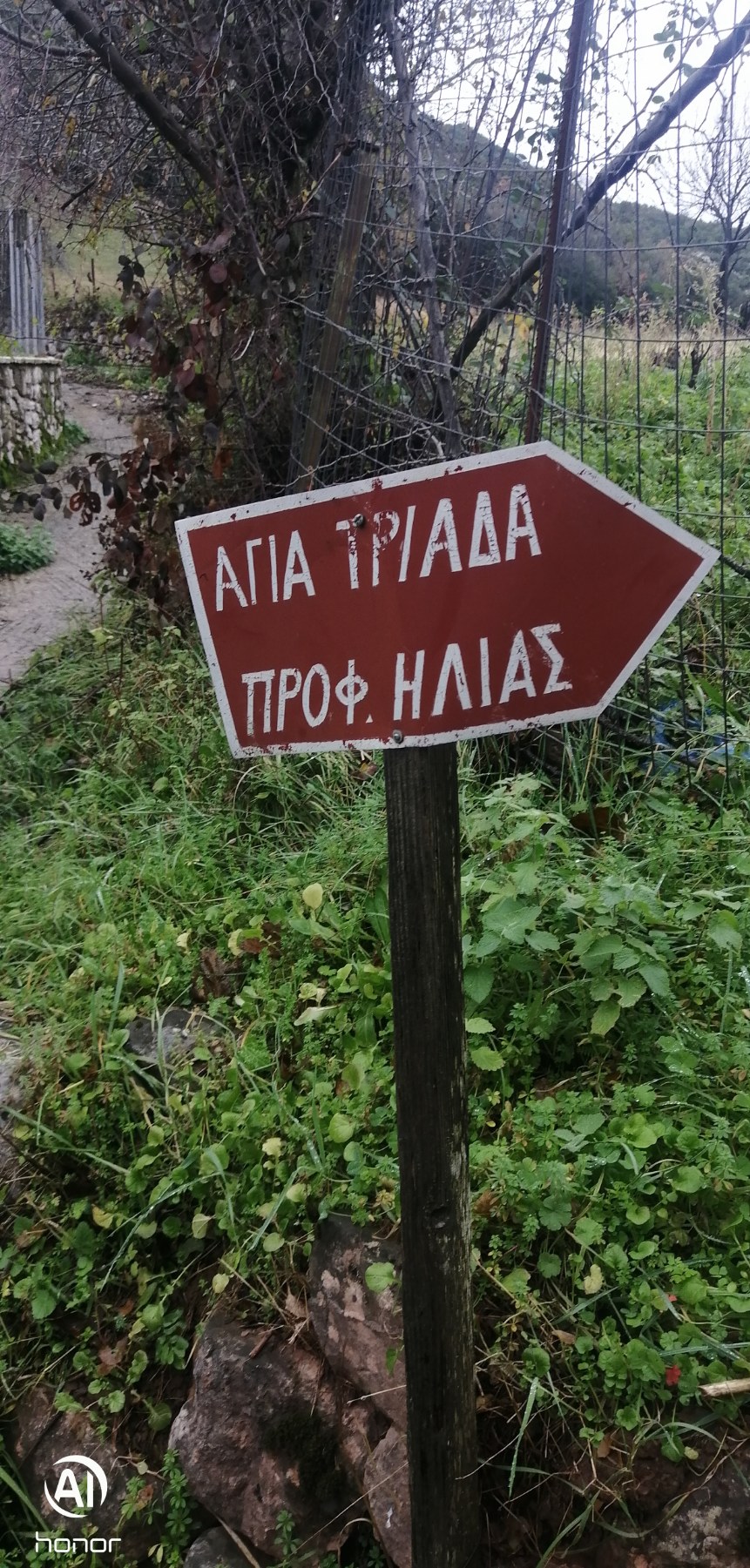 Η Ορειβατική Λέσχη Καλαμπάκας συμμετείχε στην Πανθεσσαλική Κοινή Ανάβαση στο Σμόκοβο — φωτογραφία 6