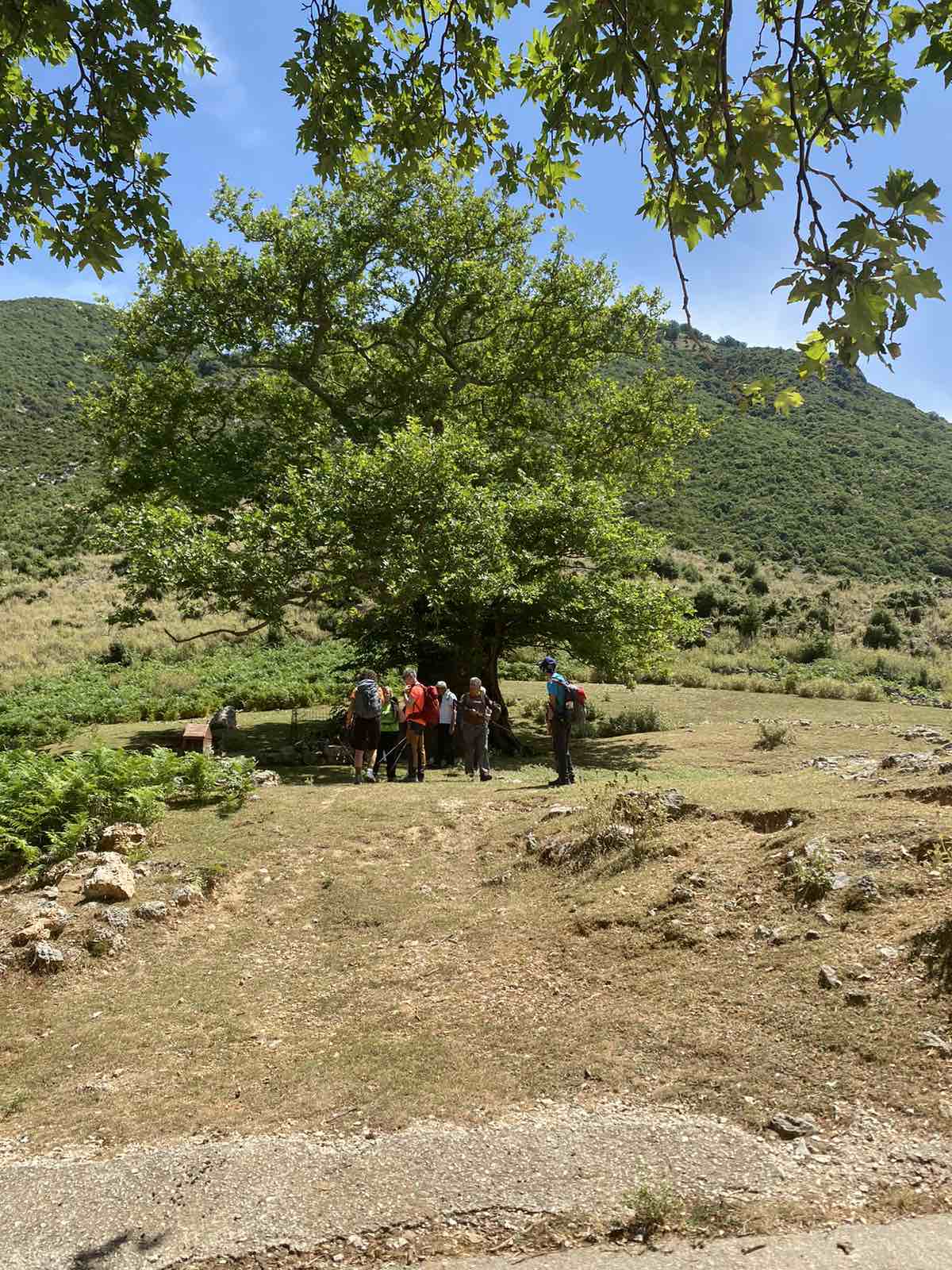 Η Ο.Λ.Κ. πραγματοποίησε την πεζοπορία Σούλι - Σαμονίδα - Κάστρο Κιάφας - Γέφυρα Ντάλα - Σκάλα Τζαβέλαινας - Γλυκή — φωτογραφία 10