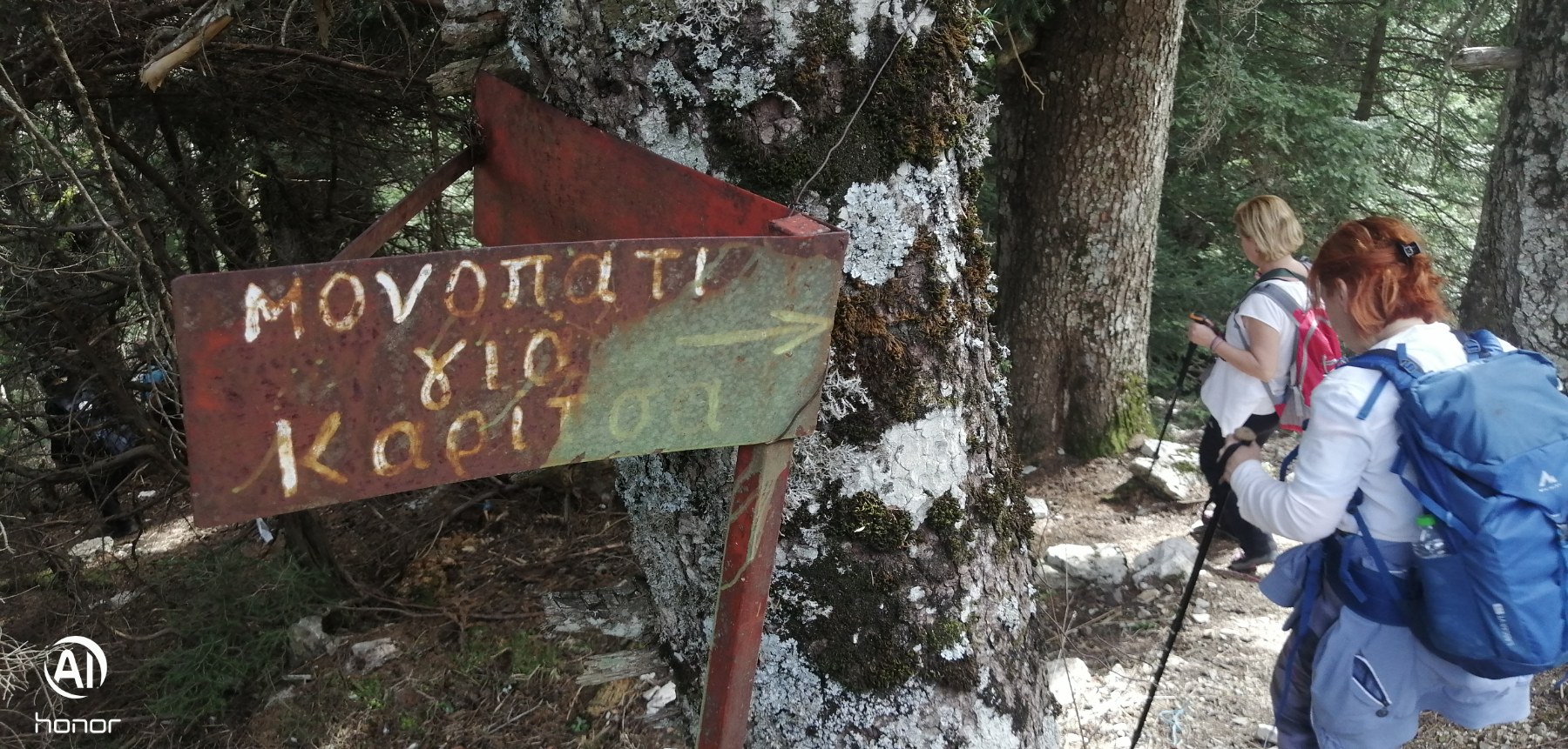 Η Ο.Λ.Κ. συμμετείχε στην Πανθεσσαλική Κοινή Ανάβαση στα Βόρεια Άγραφα — φωτογραφία 16