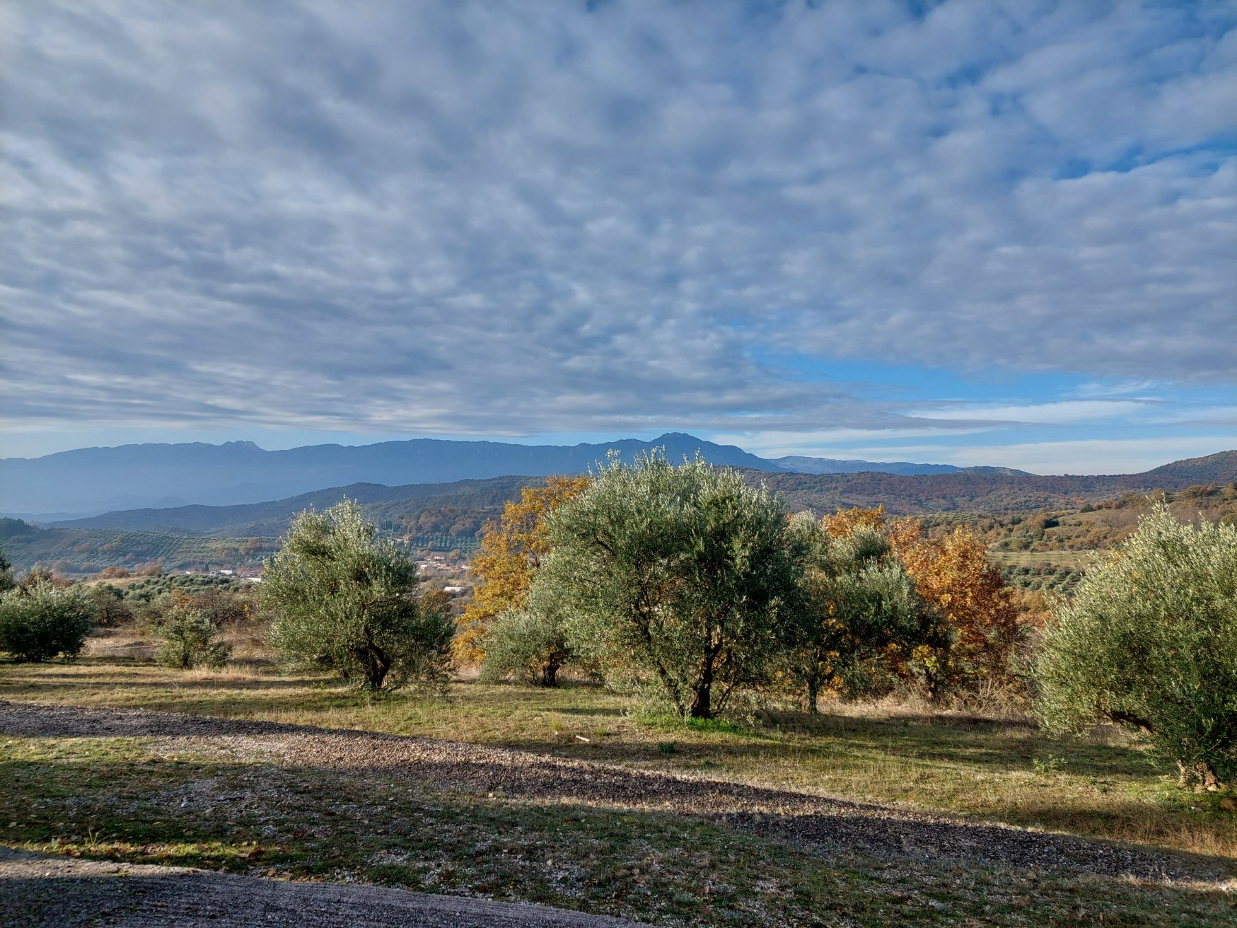 Με επιτυχία πραγματοποιήθηκε η πεζοπορία της Ορειβατικής Λέσχης Καλαμπάκας στην Αύρα — φωτογραφία 13
