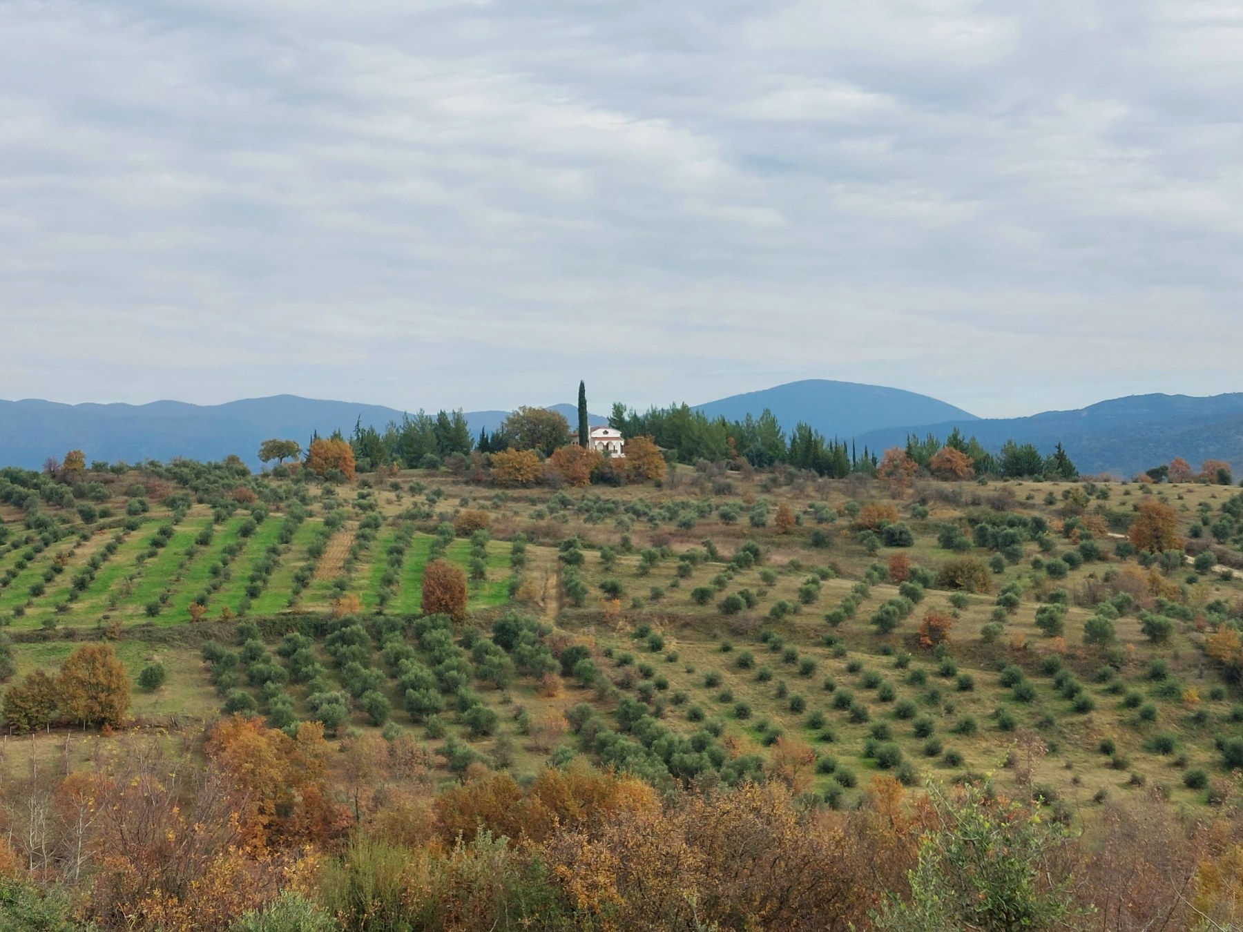 Με επιτυχία πραγματοποιήθηκε η πεζοπορία της Ορειβατικής Λέσχης Καλαμπάκας στην Αύρα — φωτογραφία 16