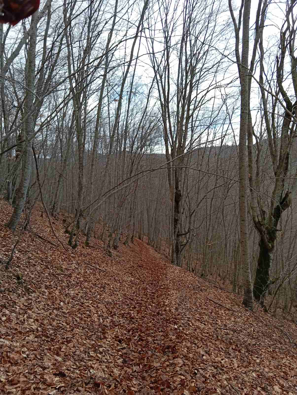 Με επιτυχία η πεζοπορία της Ο.Λ.Κ. στην περιοχή της Πτολεμαΐδας σε συνεργασία με την Ορειβατική Λέσχη Εορδαίας — φωτογραφία 8