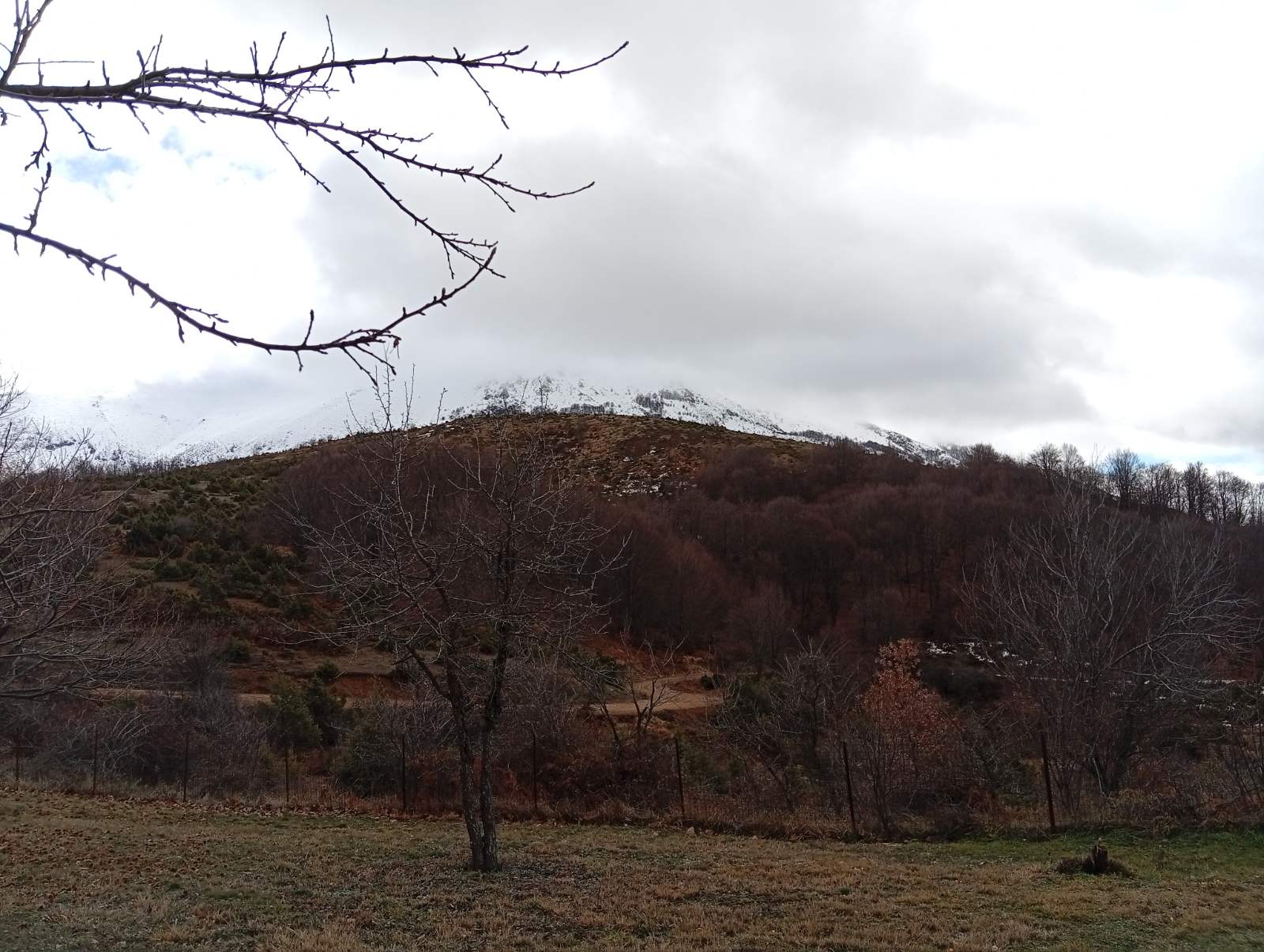 Με επιτυχία η πεζοπορία της Ο.Λ.Κ. στην περιοχή της Πτολεμαΐδας σε συνεργασία με την Ορειβατική Λέσχη Εορδαίας — φωτογραφία 7