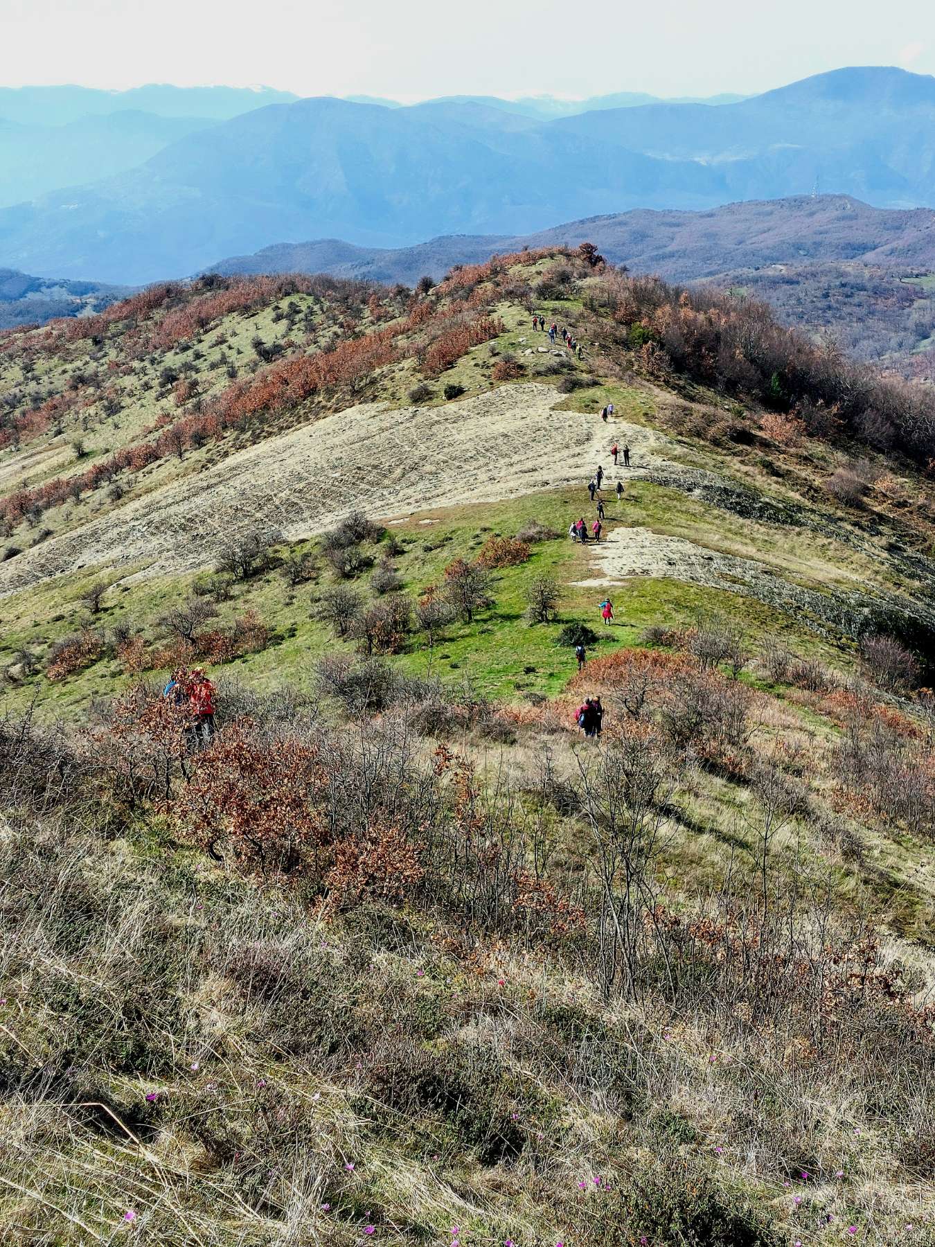 Πεζοπορία στην περιοχή του Γάβρου πραγματοποίησε η Ο.Λ.Κ. — φωτογραφία 11