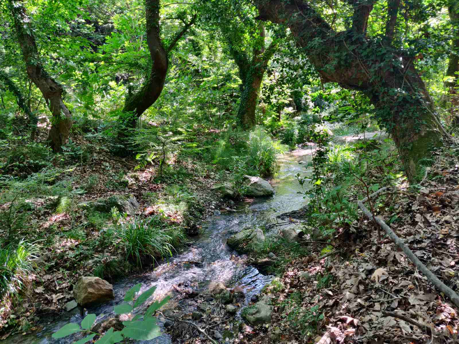 Πεζοπορία στη διαδρομή Μελίβοια – Σωτηρίτσα – Βελίκα πραγματοποίησε η Ο.Λ.Κ. — φωτογραφία 18