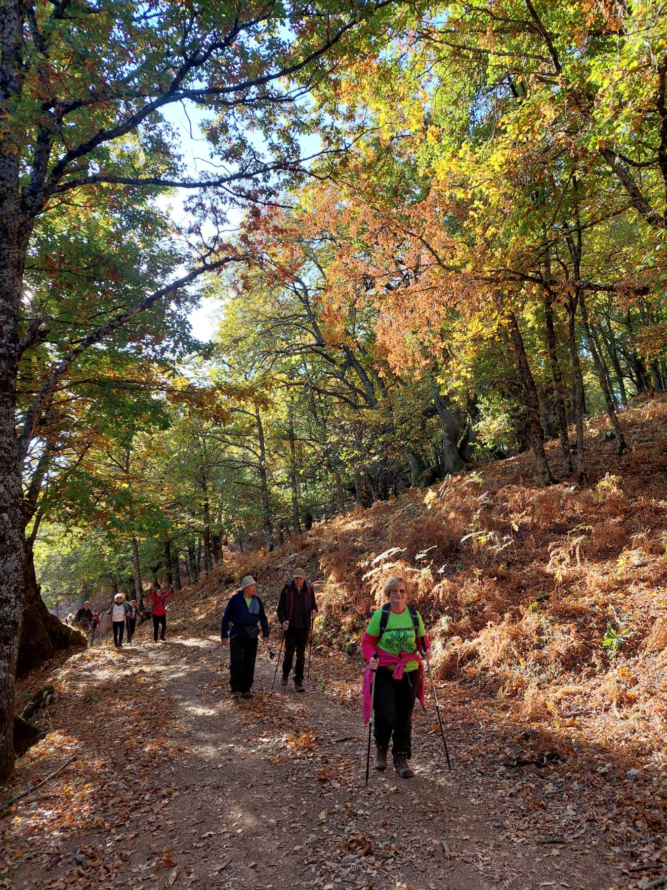 Πεζοπορία στην Κόρη (Τρύπιο Λιθάρι) πραγματοποίησε η Ο.Λ.Κ. — φωτογραφία 6