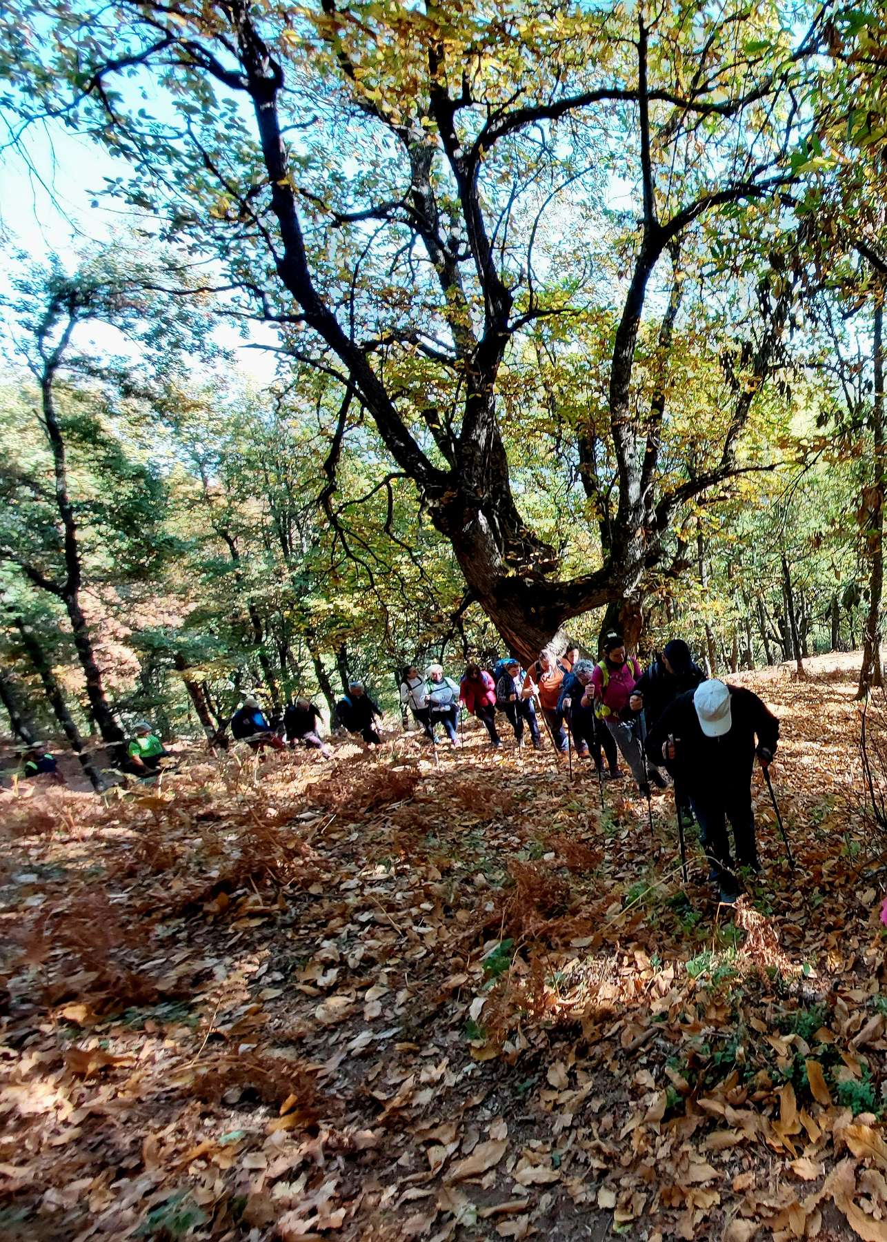 Πεζοπορία στην Κόρη (Τρύπιο Λιθάρι) πραγματοποίησε η Ο.Λ.Κ.