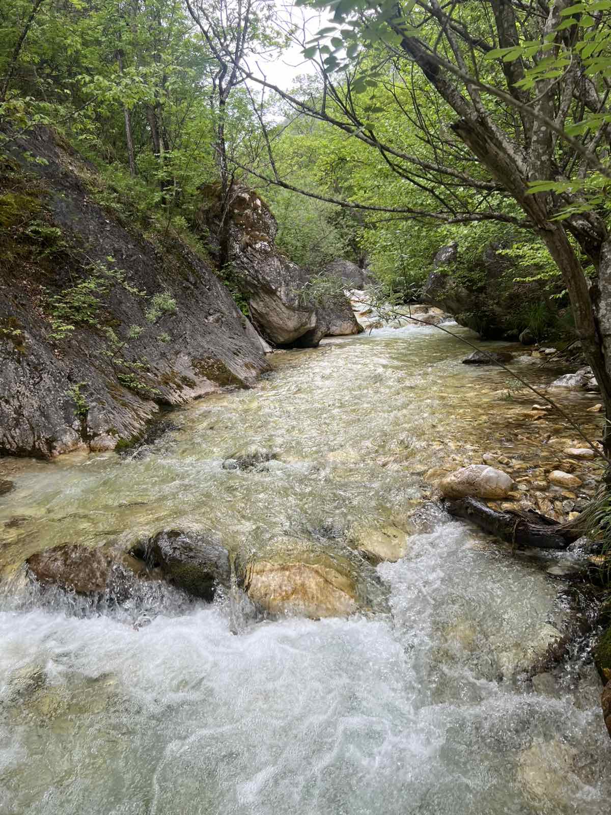 Πεζοπορία στο μονοπάτι της Κουνουπίτσας στα Λουτρά Πόζαρ πραγματοποίησε η Ο.Λ.Κ. — φωτογραφία 7