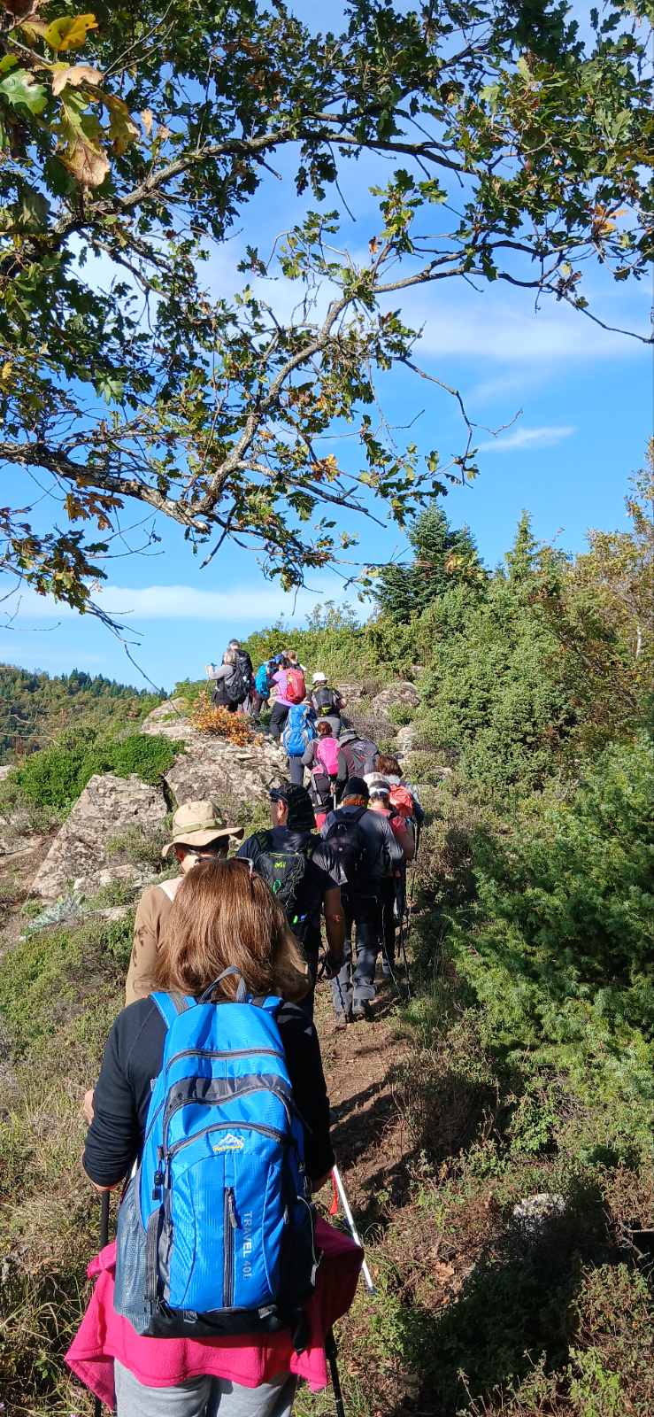 Πεζοπορία στον Αμάραντο Καρδίτσας πραγματοποίησε η Ο.Λ.Κ. — φωτογραφία 18