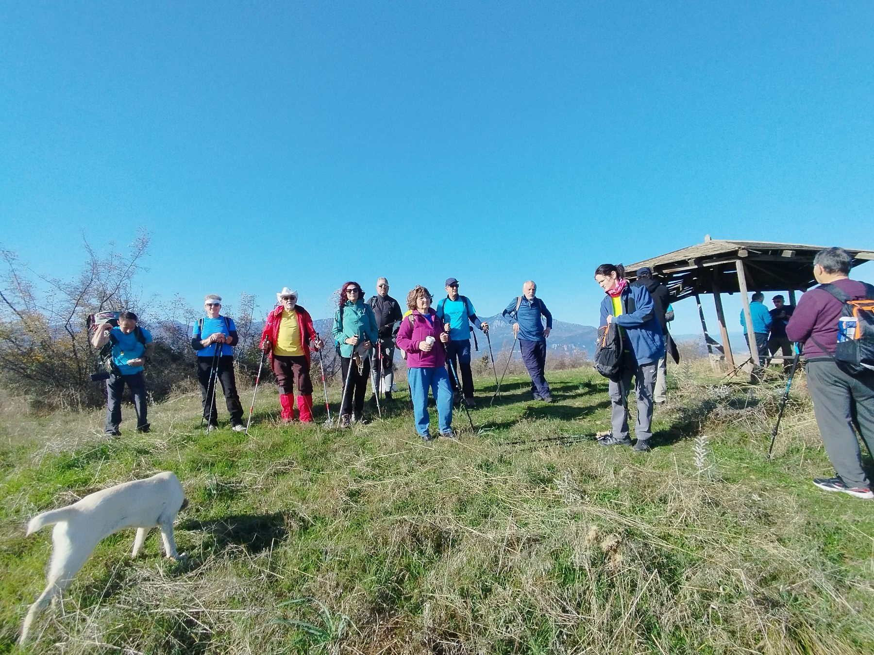 Πραγματοποιήθηκε η πεζοπορία της Ο.Λ.Κ. στους Αγίους Θεοδώρους — φωτογραφία 8