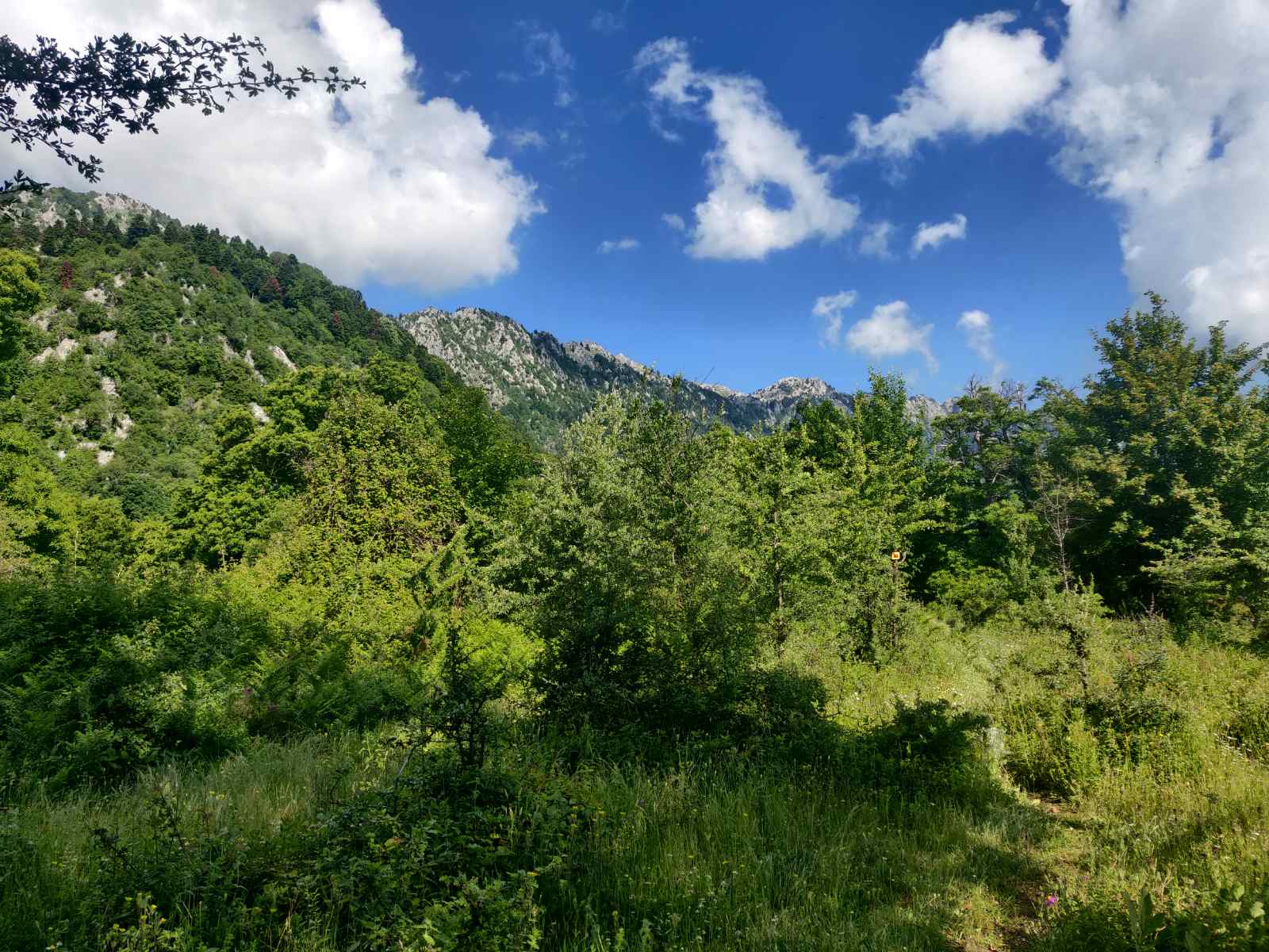 Στην 11η Θεσσαλική Ορειβατική Συνάντηση συμμετείχε η Ο.Λ.Κ. — φωτογραφία 8