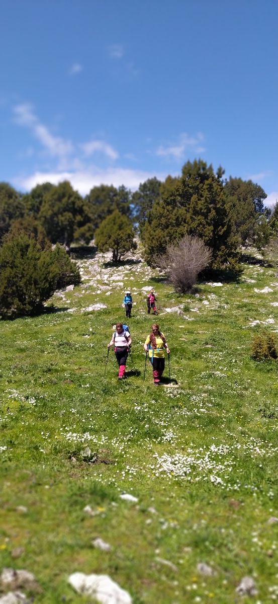 Στην κορυφή Αμουτζέλος η Ορειβατική Λέσχη Καλαμπάκας — φωτογραφία 7