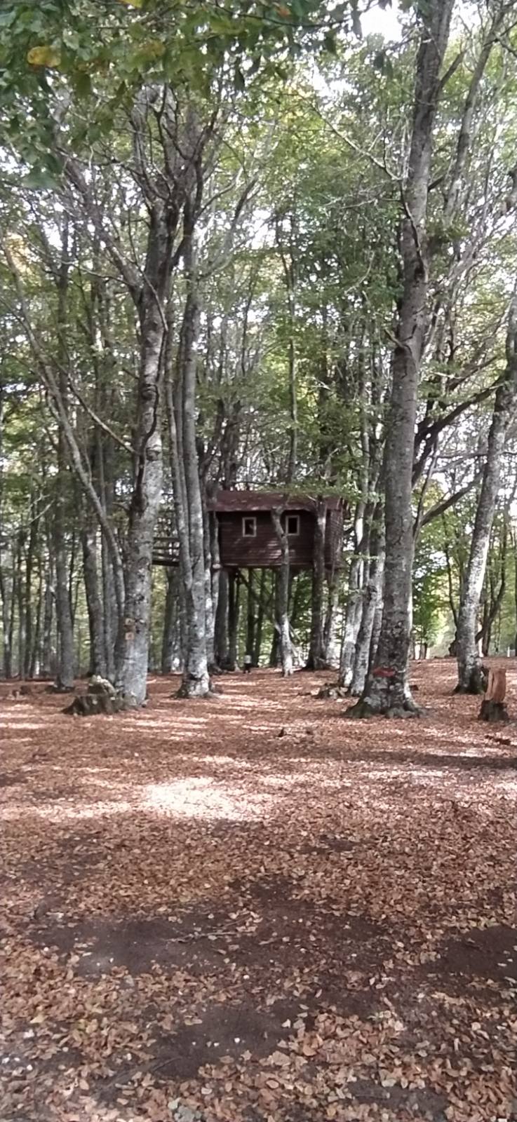 Στην κορυφή Μαμαλή (1.420μ.) η Ορειβατική Λέσχη Καλαμπάκας — φωτογραφία 18