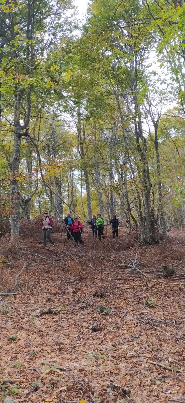 Στην κορυφή Μαμαλή (1.420μ.) η Ορειβατική Λέσχη Καλαμπάκας — φωτογραφία 19