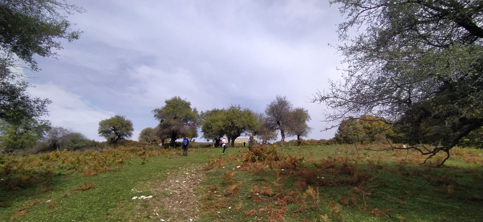Στην κορυφή Μαμαλή (1.420μ.) η Ορειβατική Λέσχη Καλαμπάκας — φωτογραφία 11