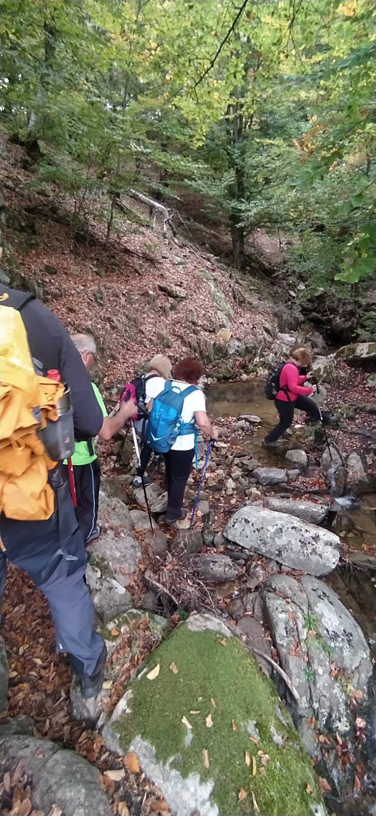 Στην κορυφή Μαμαλή (1.420μ.) η Ορειβατική Λέσχη Καλαμπάκας — φωτογραφία 13