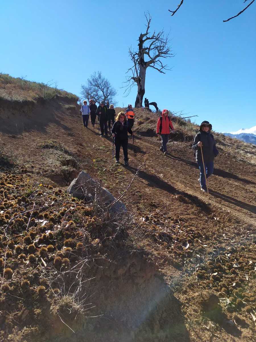 Στην κορυφή του Ιτάμου (1.131 μ.) η Ο.Λ.Κ. — φωτογραφία 4