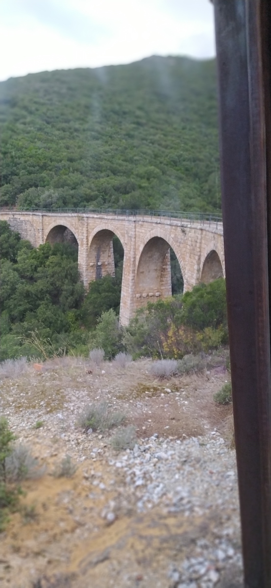 Το τρενάκι του Πηλίου — φωτογραφία 13